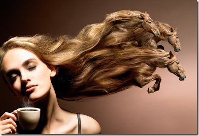 Cabello caballos