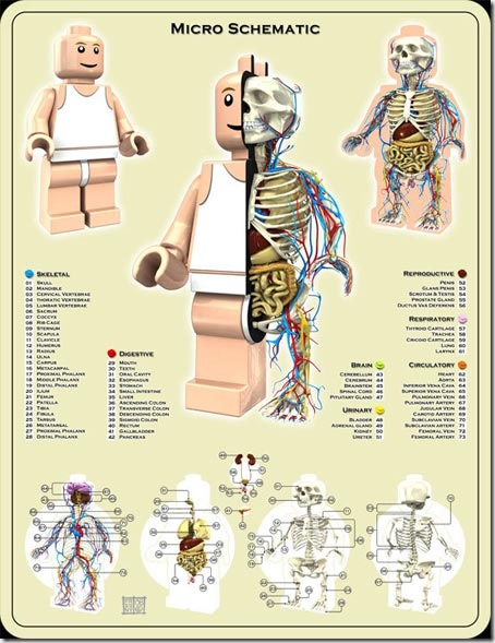 Anatomía de un Lego