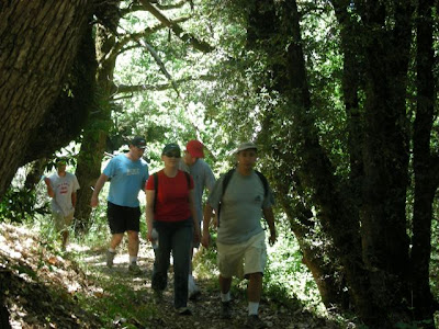 Jews' Next Dor Hiking