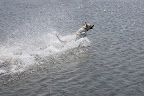 IMG_0419.JPG