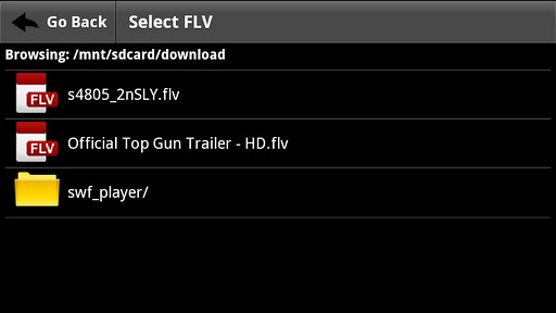 FLV Video Player