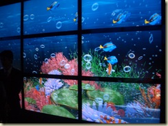 Nemo la LG Display