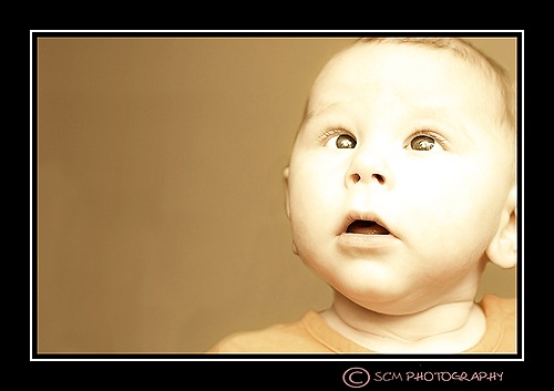 [DSC_0035_1sof webt[3].jpg]