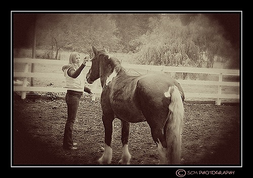 [DSC_0087vin[3].jpg]