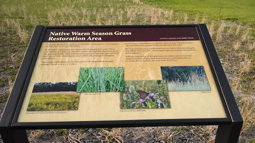 Rosaryville Native Grass