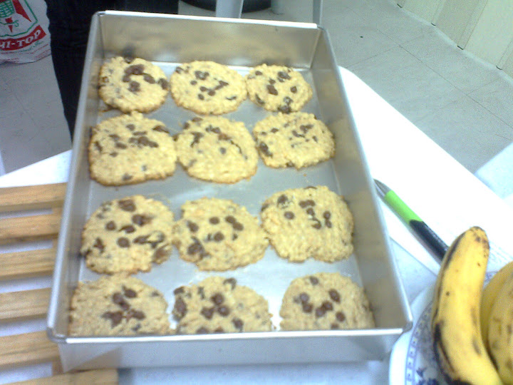 oatmeal choco cookies