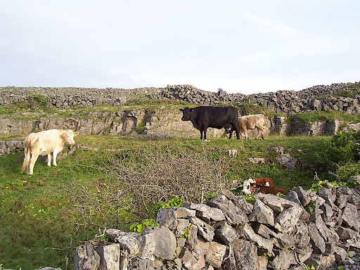 Aran Islands 2