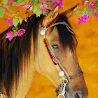 horse