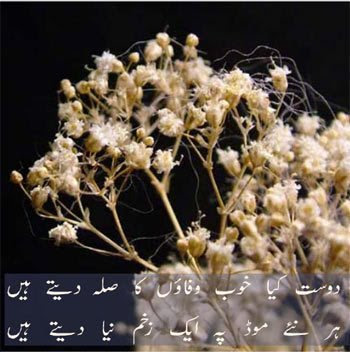 123OrkutSongs.Blogspot.Com