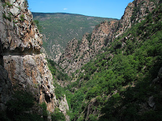 IMG_1844.JPG