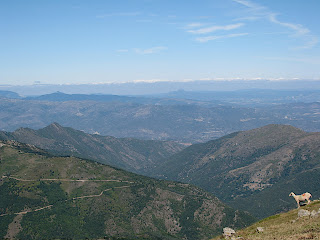 IMG_2700.JPG