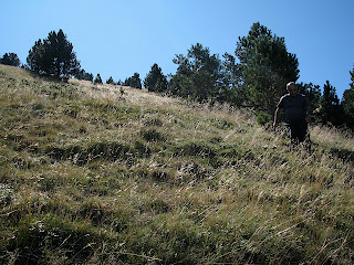 IMG_2730.JPG