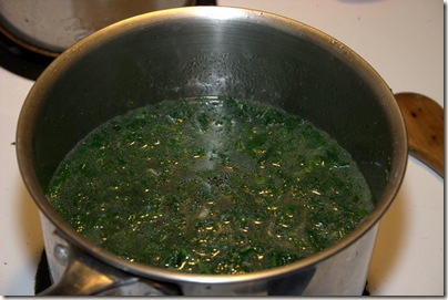 Spinach Soup002