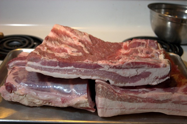 [Fresh_Bacon001[3].jpg]