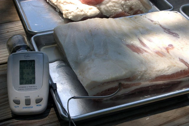 [Fresh Bacon011[3].jpg]