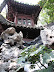 Shanghai - Yu Garden