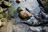DSC_0096.JPG