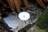 DSC_0119.JPG