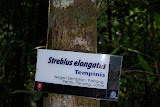 DSC_0127.JPG