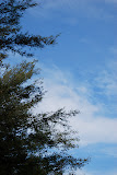 DSC_0139.JPG