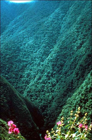 [Bolivia[12].jpg]