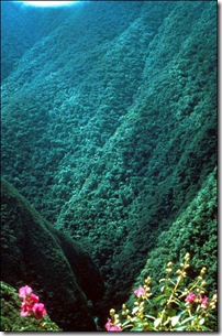 Bolivia