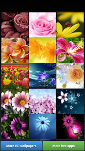 How to install Flowers HD Wallpapers 1.7.8 unlimited apk for android