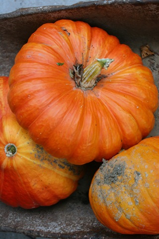 [IMG_25623.jpg]