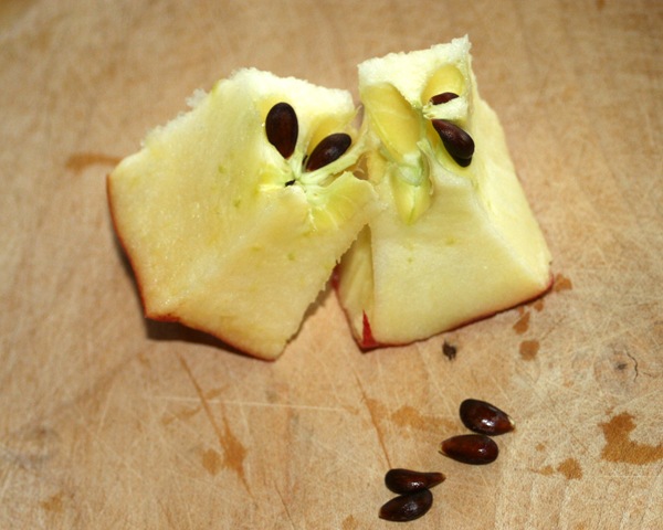 [IMG_88432.jpg]