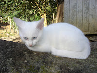 DSC05022.jpg
