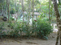 DSC05106.jpg