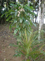 DSC05080.jpg