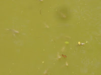 DSC05129.jpg