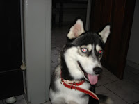 DSC05445.JPG