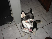 DSC05446.JPG