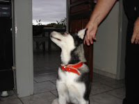 DSC05447.JPG