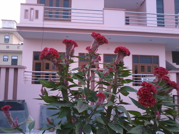 Spotting Image 1