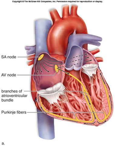 [image11[1].png]