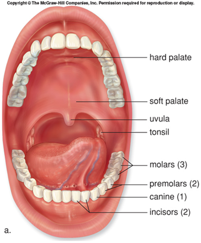 [image11.png]