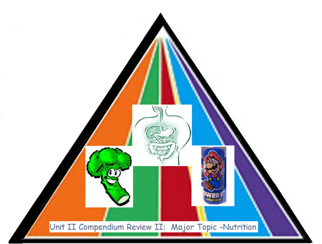 [image[29].png]