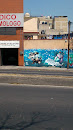 Mural Perro Y Pez.en El Agua