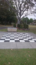 Chess In The Park