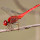 Dragonflies of Java