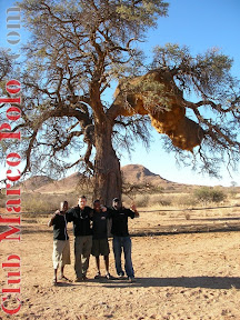 Equipo (Vengai, Gorka, Alan y Weston)