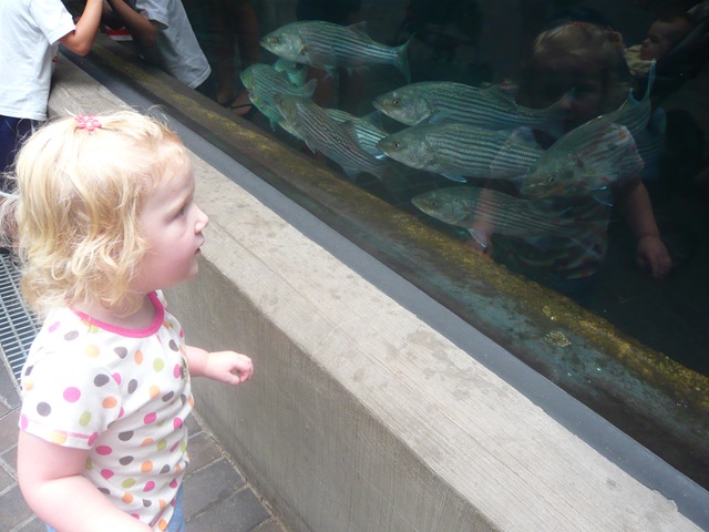 [Aquarium1[5].jpg]