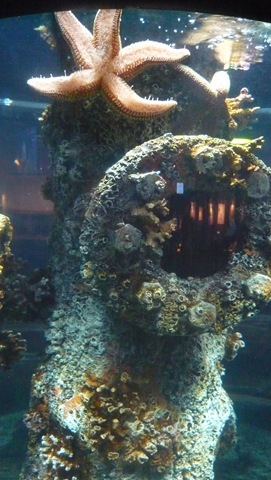 [Aquarium5[8].jpg]
