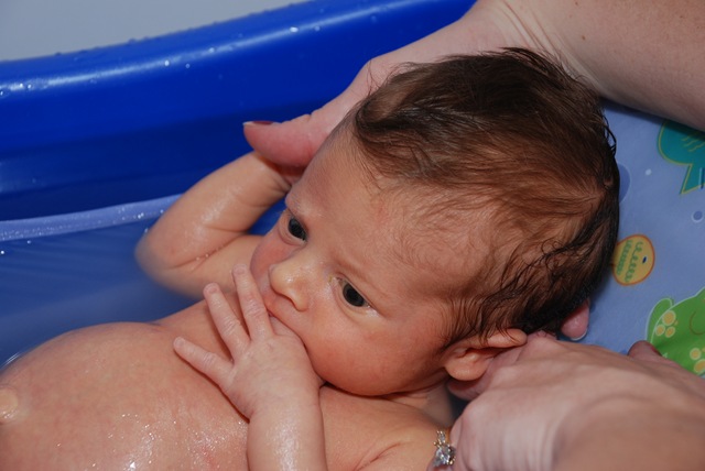 [DSC_0028[2].jpg]