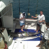Big Game Fishing Juli 2008