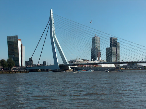 Holland America Line - De Rotterdam