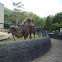 Bactrian Camel